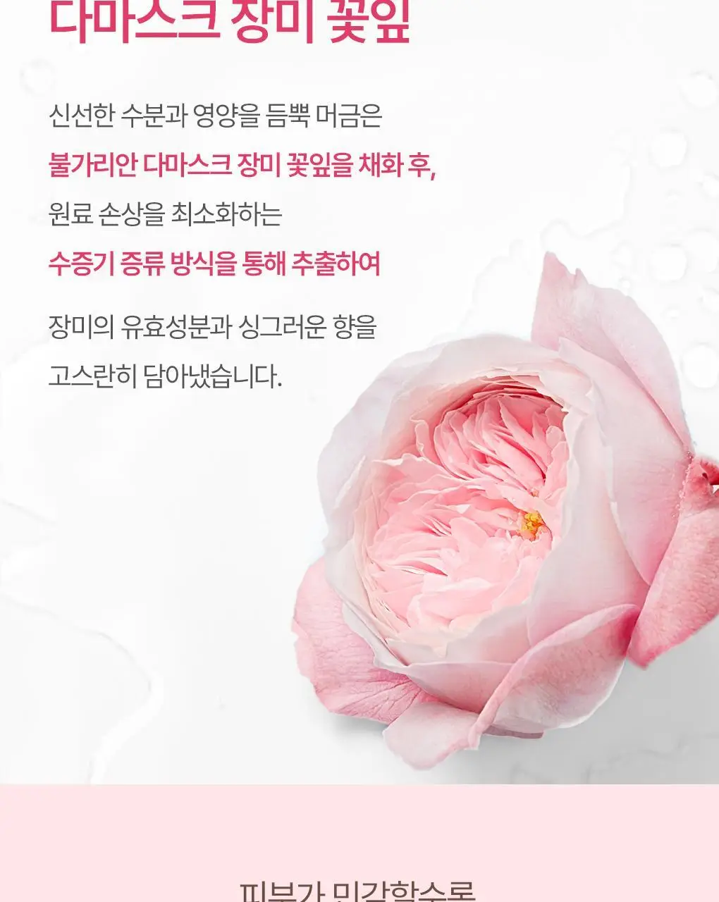 [리뉴얼] 눅스 베리로즈 클렌징 밀크 200ml 상세페이지 3